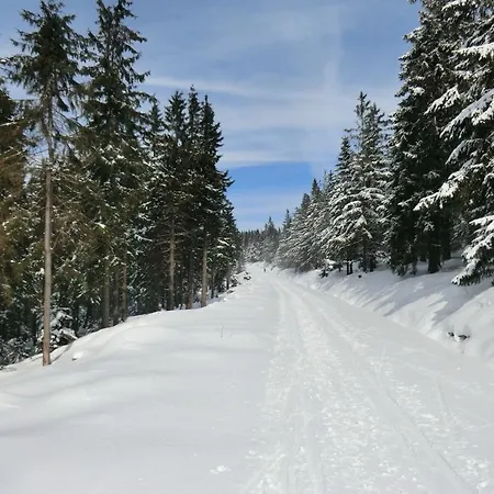 Fernblick