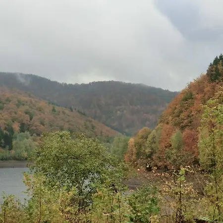 Fernblick