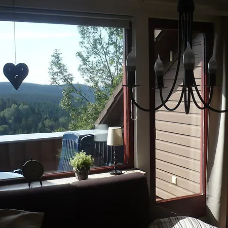 Fernblick Sankt Andreasberg