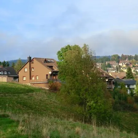 Fernblick