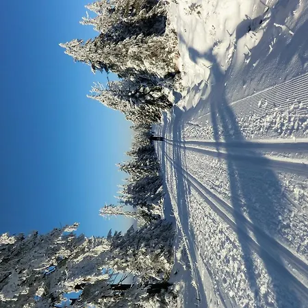 Appartement Fernblick Sankt Andreasberg