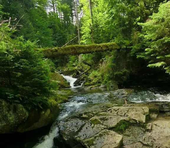 菲布里克公寓 圣安德里斯伯格