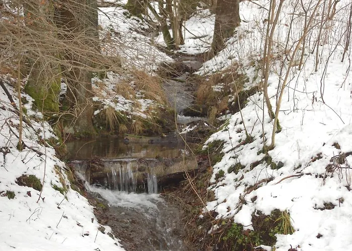 菲布里克公寓 公寓 *