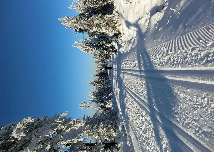 Lägenhet Fernblick Sankt Andreasberg